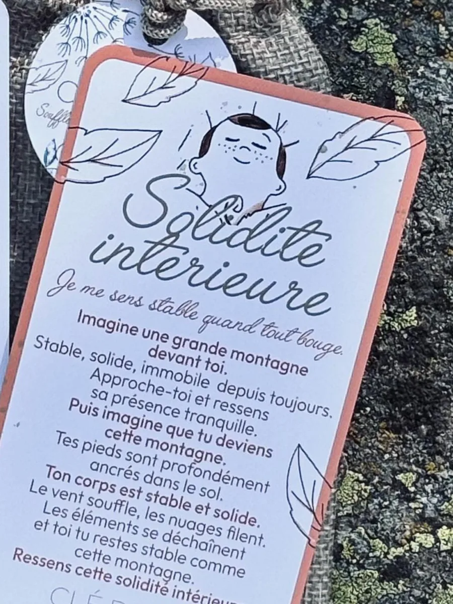 Gros plan sur la carte « Solidité intérieure — Je me sens stable quand tout bouge » et son exercice de la montagne