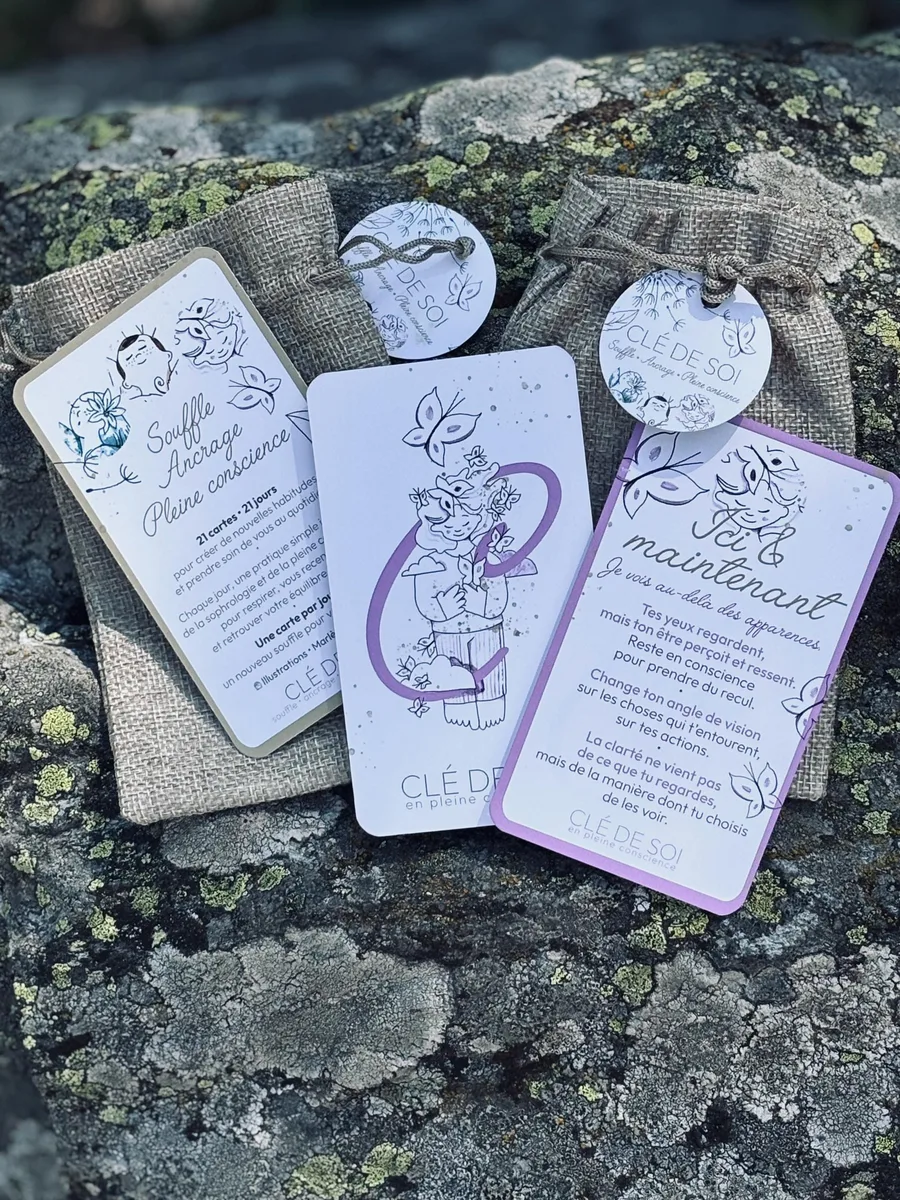 Trois cartes Ici & maintenant au liseré violet, ornées de papillons, posées sur un rocher